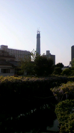 2010050123470000.jpg