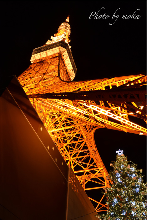 20101110_toukyotower24_5_fu.jpg