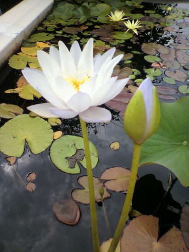 P1010022.jpg