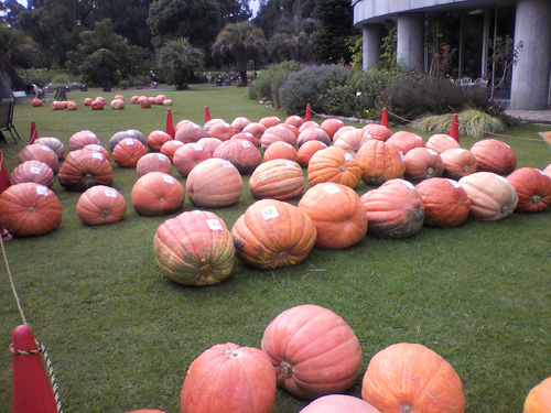 P1010023.jpg